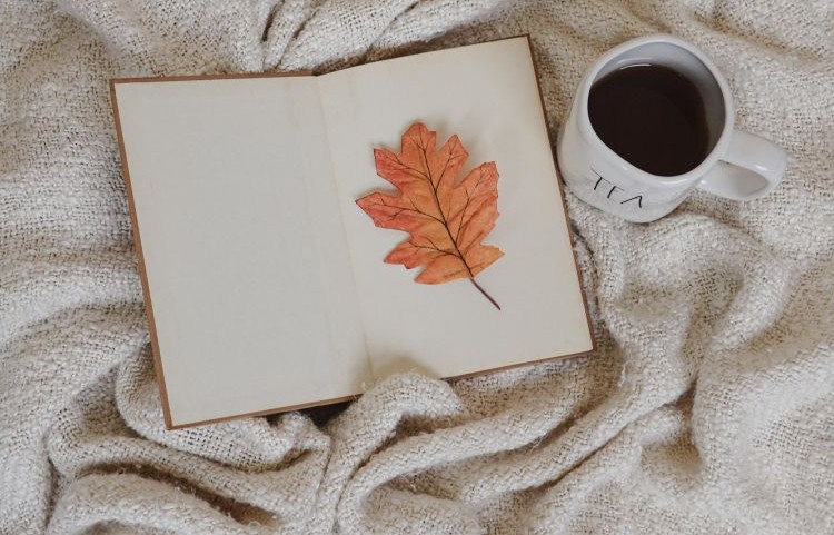 Foto: Pixabay